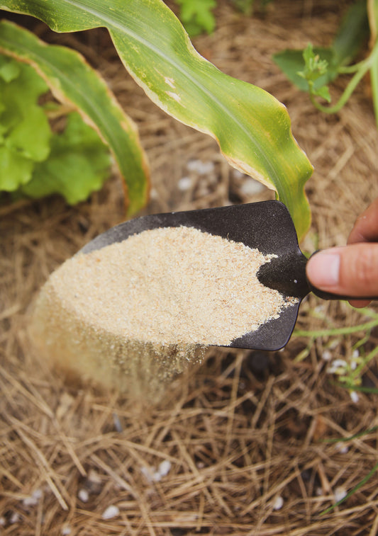 Fishbone Meal | Organic Fertilizer |